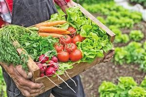 Ideal Meal Plan on Keto